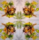 HUN-019 Dogs - 3-ply - Ihr